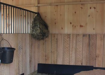 Clean horse stall at Pacific Farms